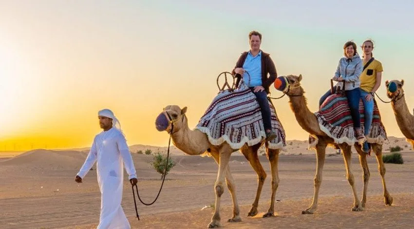 Dubai: Premium Desert Safari, Camel Ride - Private Basis