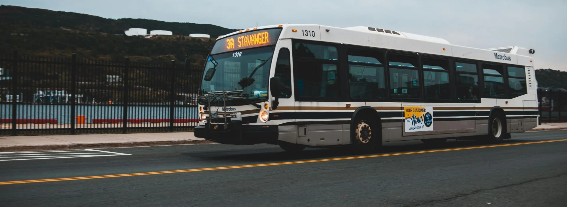 Big Bus Tour