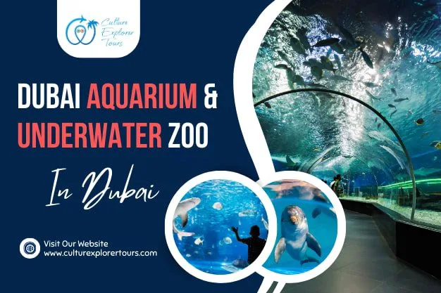 Dubai Aquarium And Underwater Zoo in Dubai