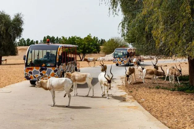 Different Facilities Accessible at the Park