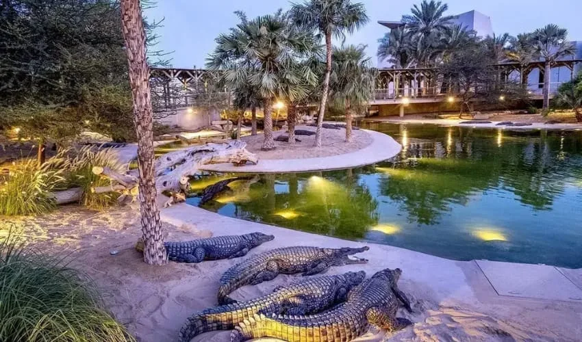 Dubai Crocodile Park