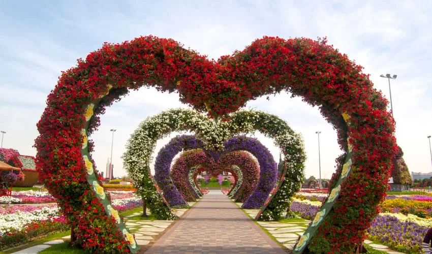 Dubai Garden Glow