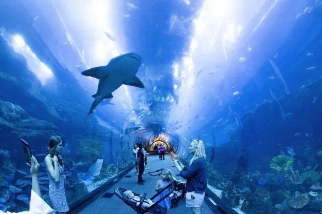 Dubai Aquarium and Underwater Zoo