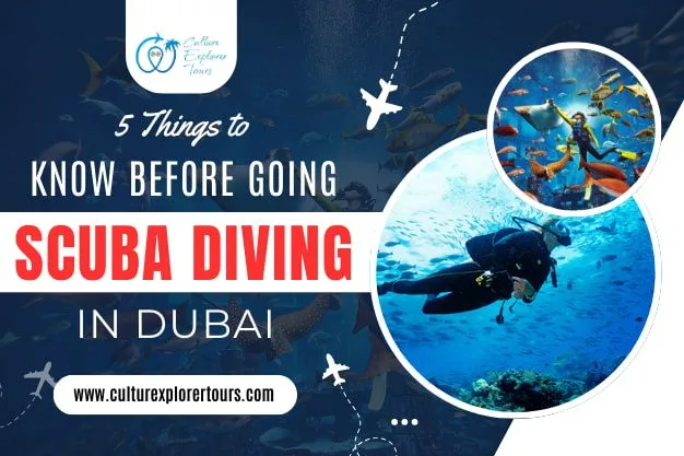 5 Things to Know Before Going Scuba Diving in Dubai
