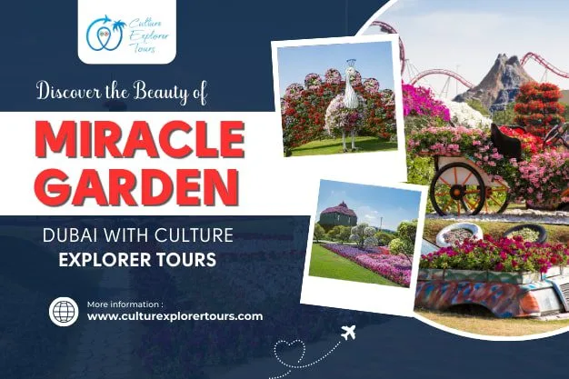 Discover the Beauty of Miracle Garden Dubai with Culture Explorer Tours