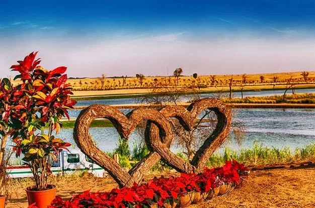 Outdoor Activities at Al Qudra & Love Lake