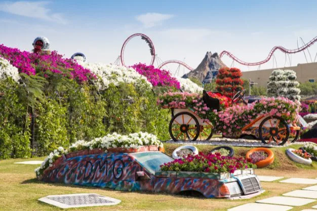 The Miracle Garden