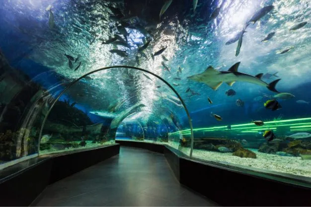 Underwater World with Your World