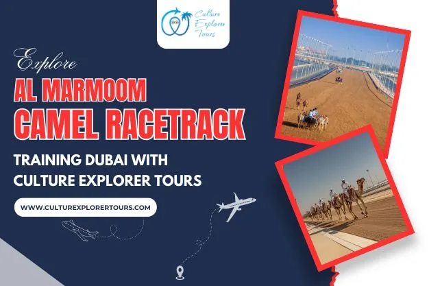 Explore Al Marmoom Camel Racetrack Training Dubai with Culture Explorer Tours