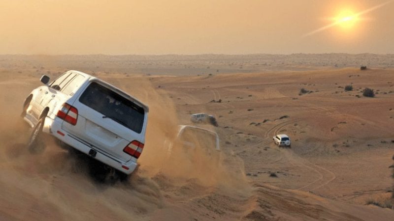 Desert Safari (2)