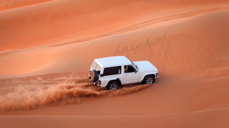 Desert Safari (3)