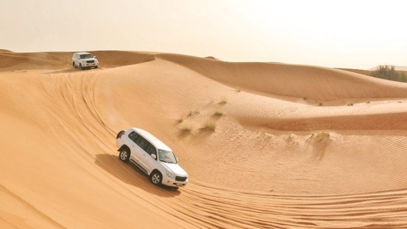 Desert Safari