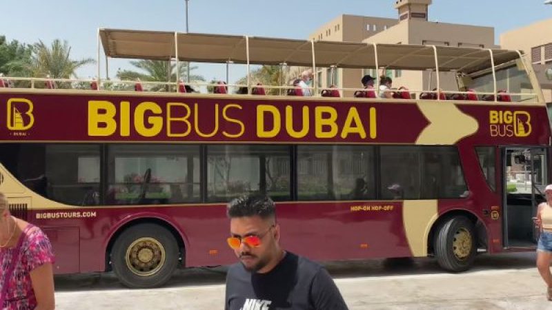 bigbus33