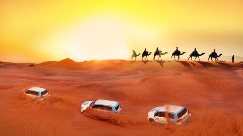 evening desert